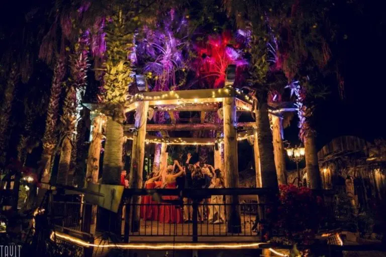 A group of people dances under a wooden gazebo decorated with string lights at a corporate event, surrounded by palm trees illuminated with purple and pink lights at night.