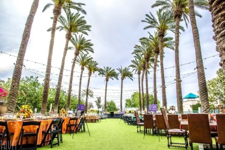 An outdoor corporate event setup under tall palm trees with string lights. Event photography captures rows of tables with chairs along a grass-covered aisle, adorned with colorful tablecloths and floral arrangements.