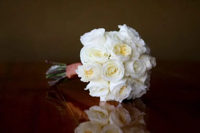 A bouquet of white roses with a hint of cream in the center, wrapped elegantly with a brown ribbon, lies on a polished wooden surface. Perfect for event photography backdrops, the plain soft brown background enhances the flowers' natural beauty.
