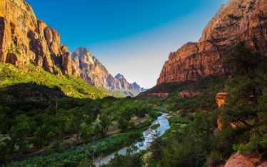 A river winds through a lush green valley surrounded by towering red rock cliffs and mountains under a clear blue sky in Zion National Park—an inspiring backdrop for your next seminar or corporate event.