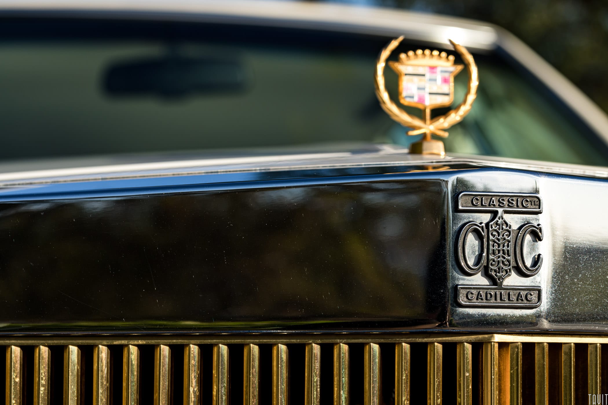 Cadillac front grill and emblem close up