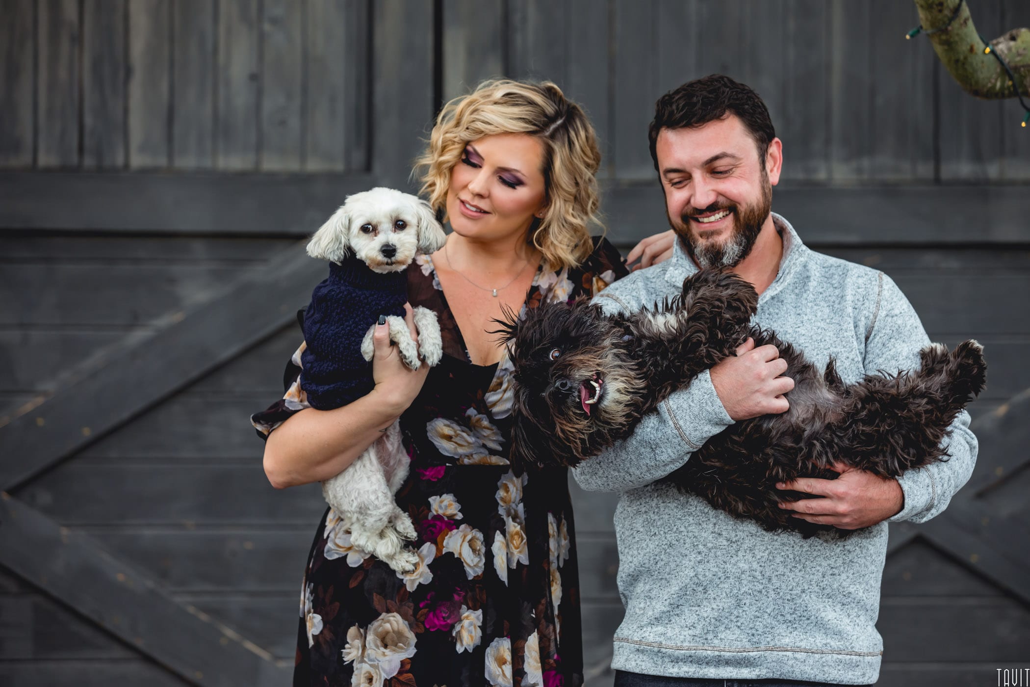 Husband and wife holding their two dogs