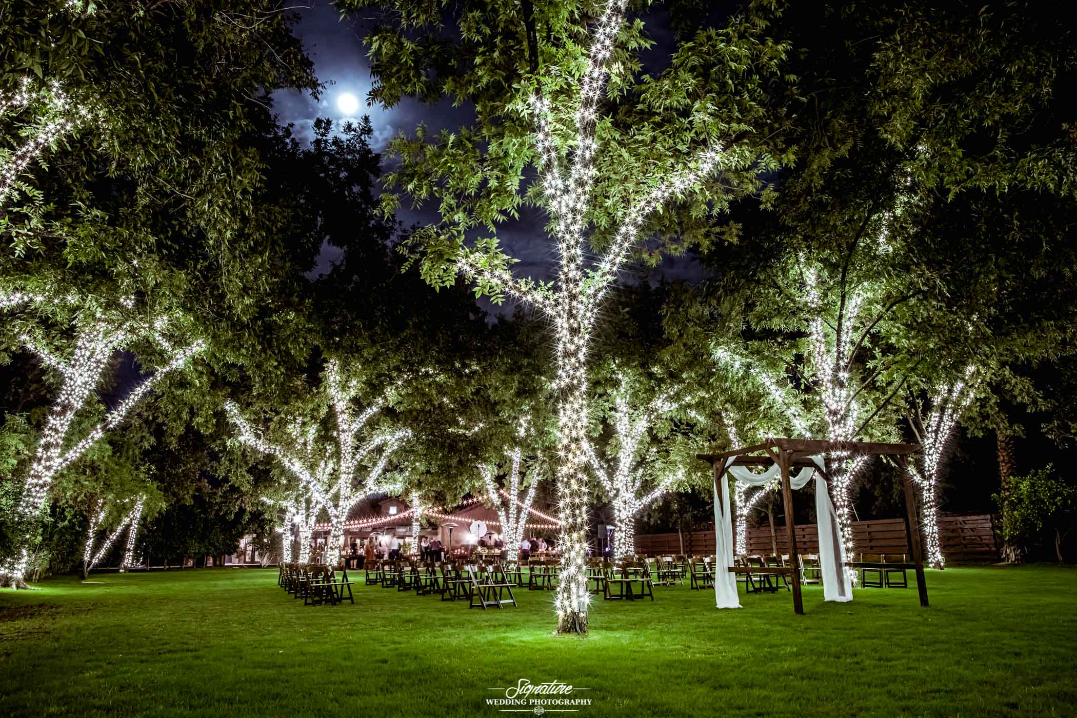 Trees with lights at outdoor wedding venue