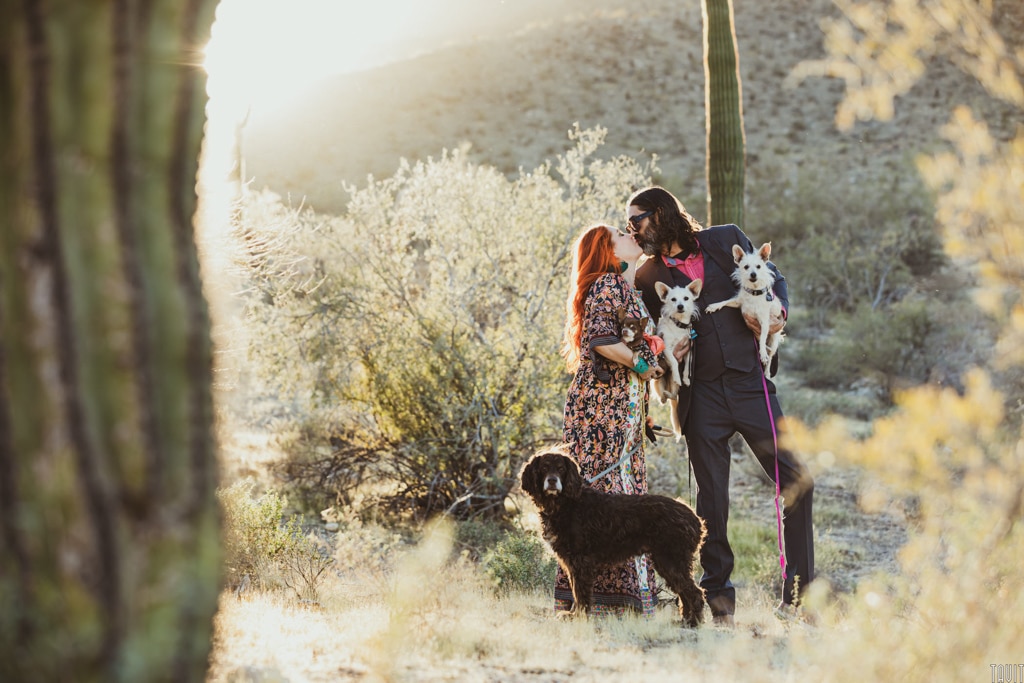 Pet photography of husband, wife & 4 dogs