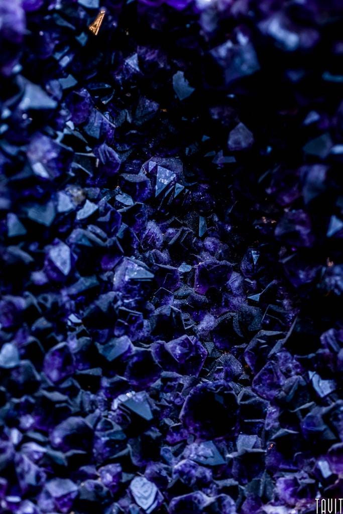 Artistic purple background shot