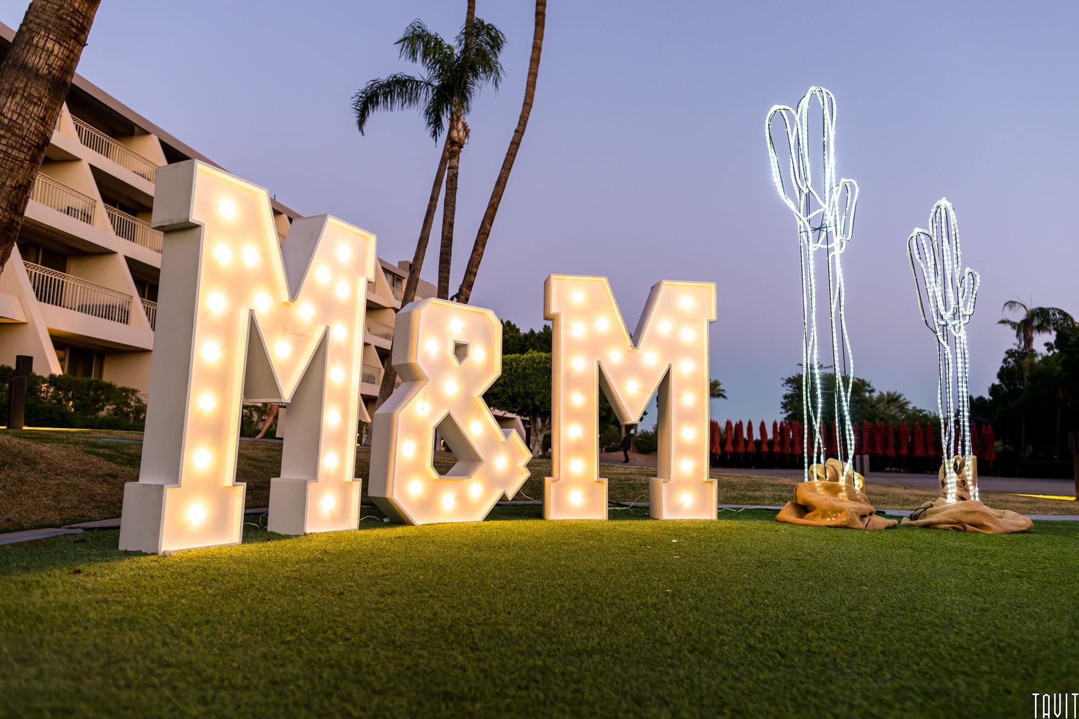 Light up M&M sign