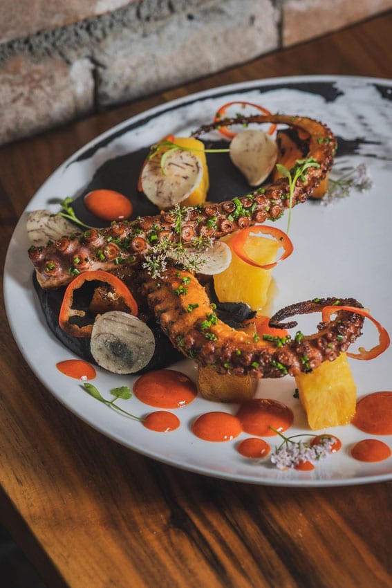 Octopus on plate with garnish