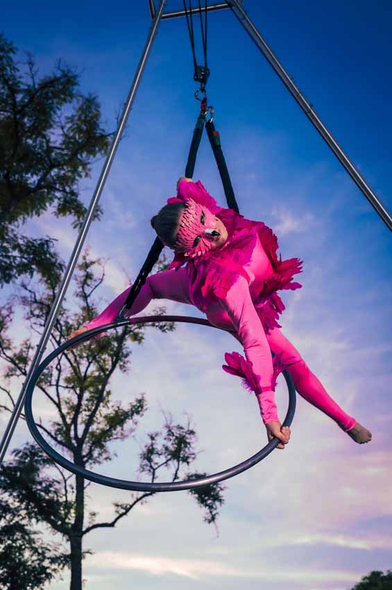 Trapeze artist in pink suit hanging with hoop