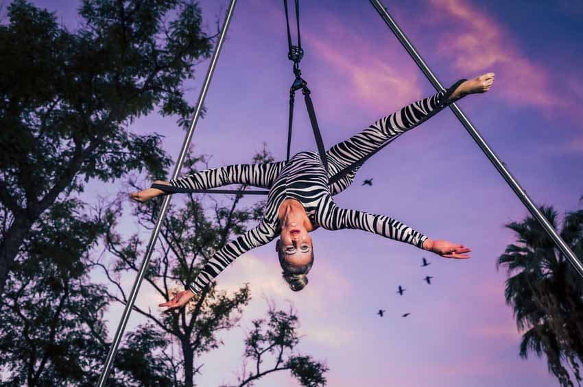 Trapeze artist in zebra suit hanging upside down