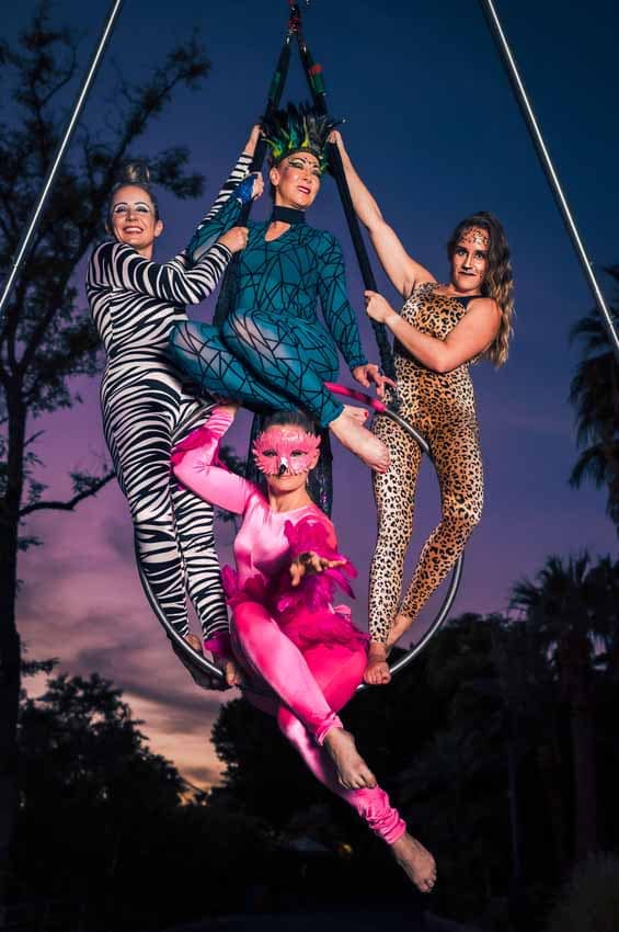 Group of trapeze artists in animal costumes