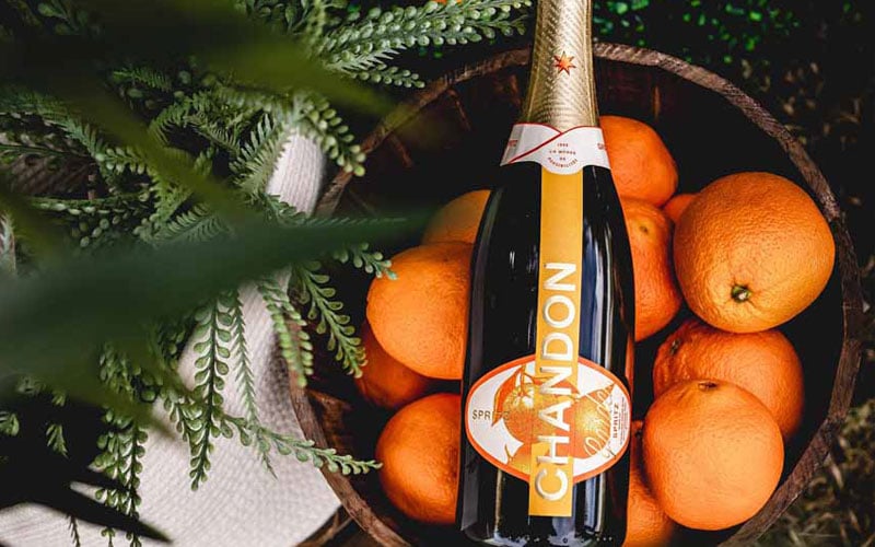 Champagne bottle on oranges