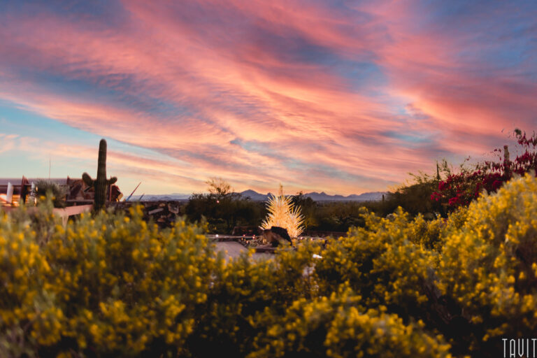 Vivid sunset sky with pink and orange clouds over a desert landscape; yellow flowering bushes, a tall cactus in the foreground, and a glowing glass sculpture near the center evoke the ambiance of an inspiring corporate event.