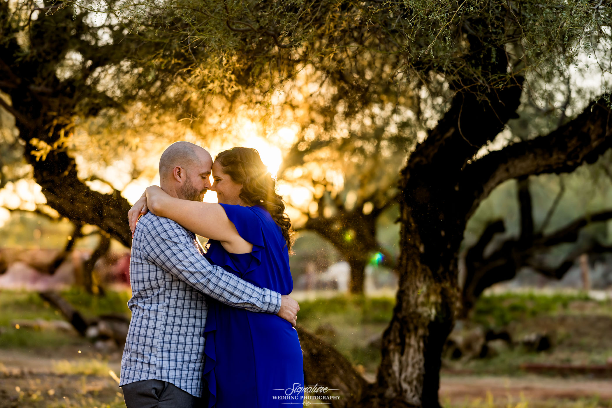 Couple with arms around each other in front of tree at sunset