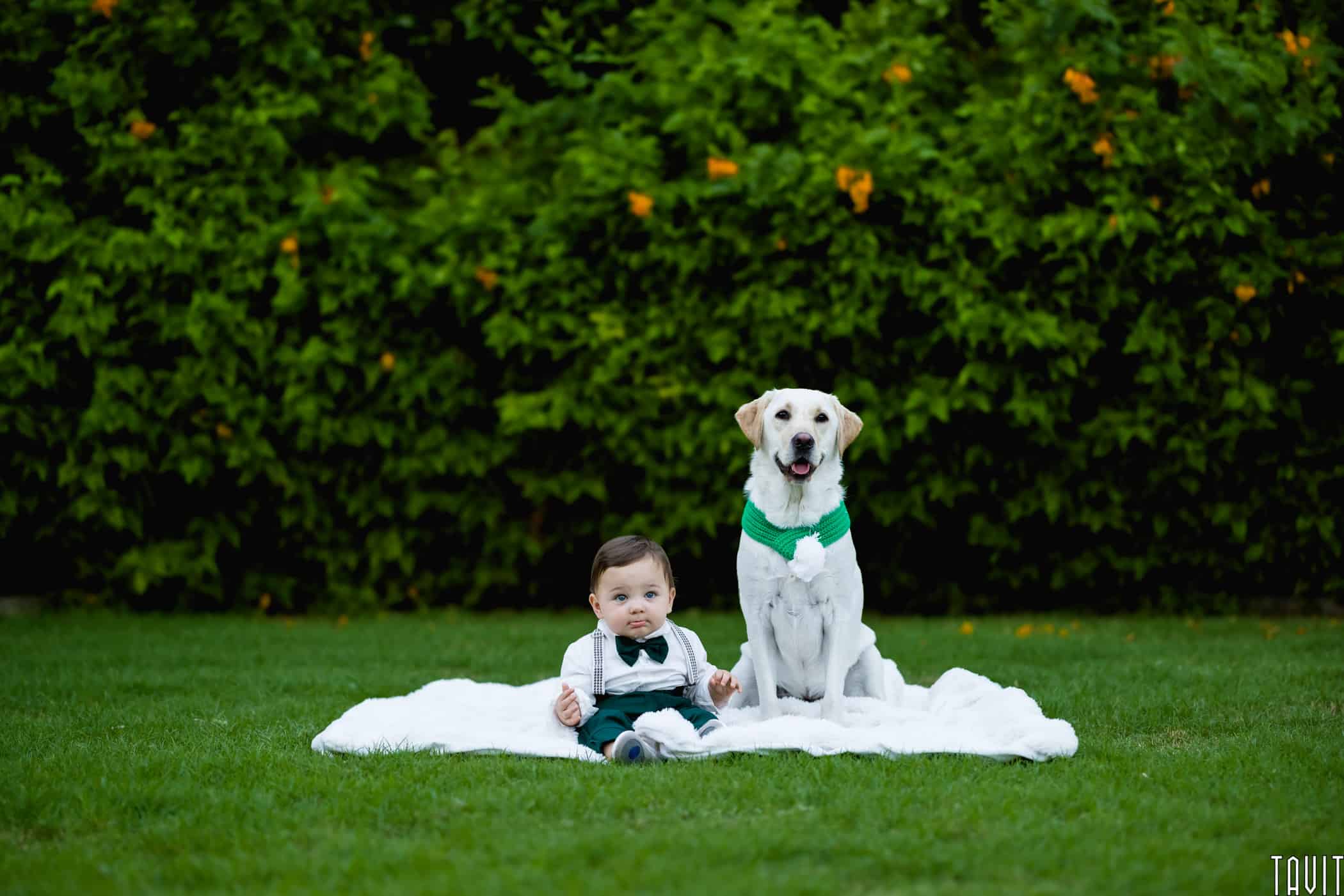 Baby and a dog sitting on blanket