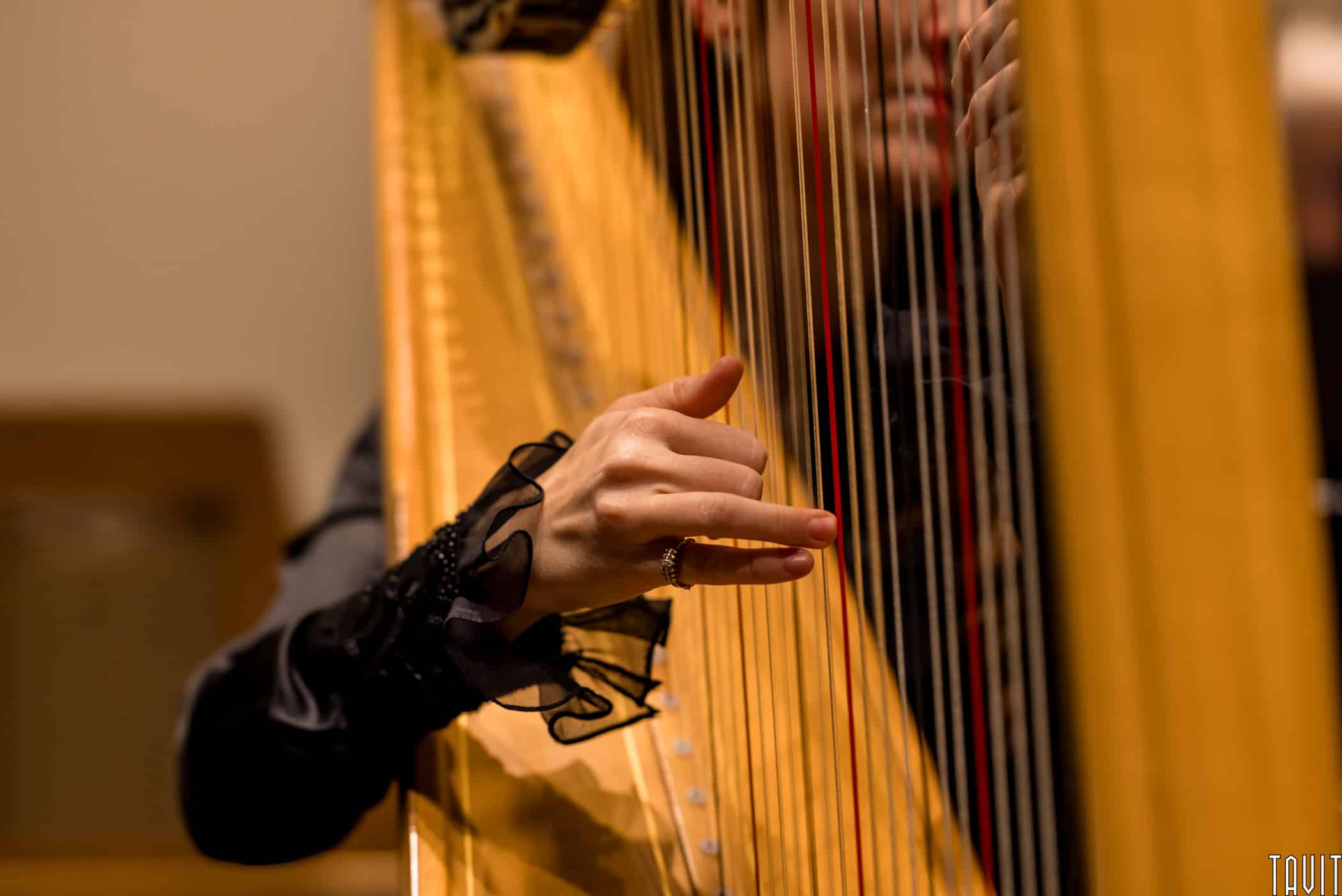 artistic close up of Phoenix Symphony harpist