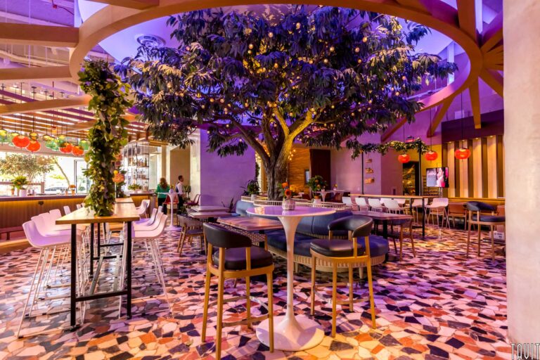 Indoor tree surrounded by table and chairs