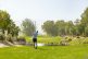 A golfer wearing shorts and a hat swings a club on a lush, green golf course bordered by palm trees, with a small pond and mountains visible in the background under a hazy sky.