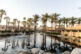 A tranquil pond with a fountain, surrounded by rocks, palm trees, and resort buildings under a clear sky in Palm Springs
