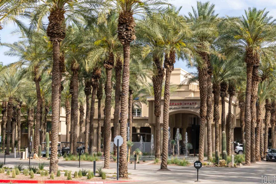outside view of a Palm Spring resort in California, seen through a good amount of well-trimmed palm trees