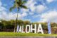 Large white marquee letters spell “ALOHA” under a palm tree and blue skies, with two blue event banners nearby. Perfect for Event Photography Phoenix or capturing memorable moments with a skilled Corporate Event Photographer.