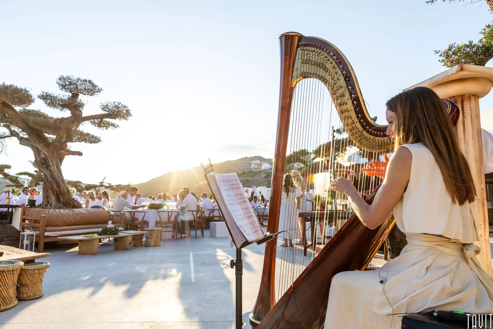 A woman in a cream dress plays a harp outdoors at sunset with guests seated at tables in the background, surrounded by trees and mountains.