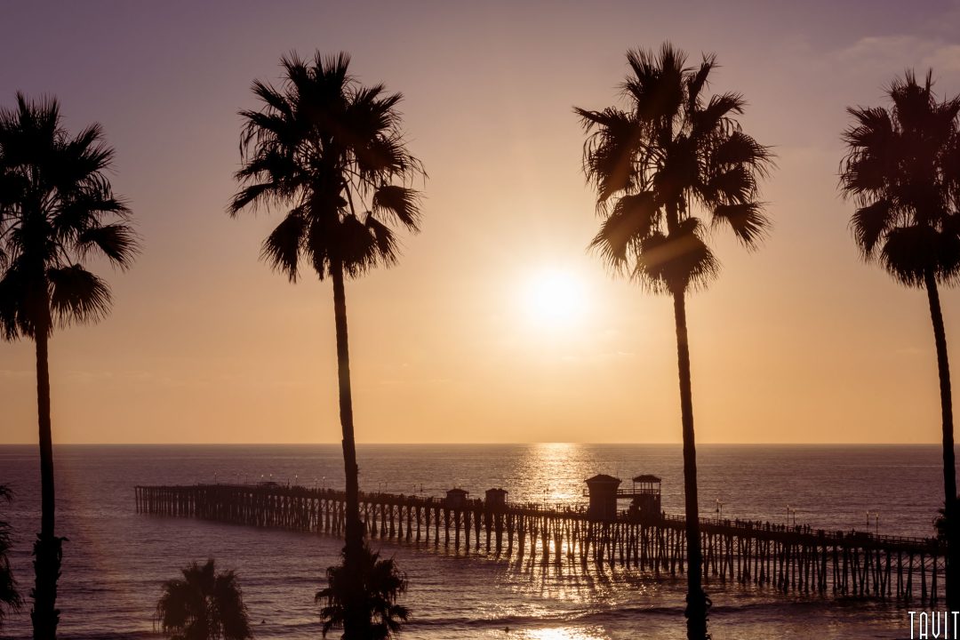 Tall palm trees in San Diego frame a wooden pier extending into the ocean at sunset, with a golden sky and shimmering water creating a serene coastal scene.