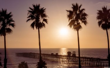 Tall palm trees in San Diego frame a wooden pier extending into the ocean at sunset, with a golden sky and shimmering water creating a serene coastal scene.