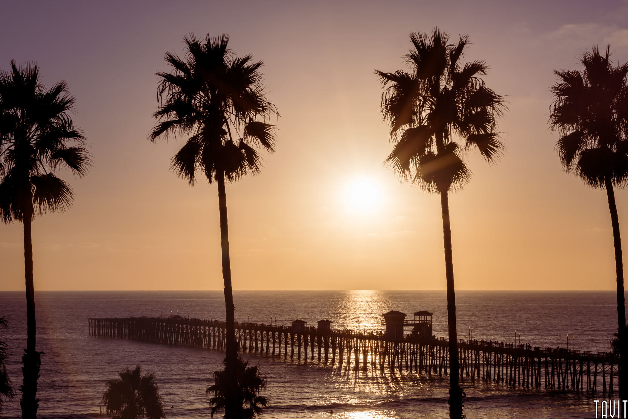 Tall palm trees in San Diego frame a wooden pier extending into the ocean at sunset, with a golden sky and shimmering water creating a serene coastal scene.