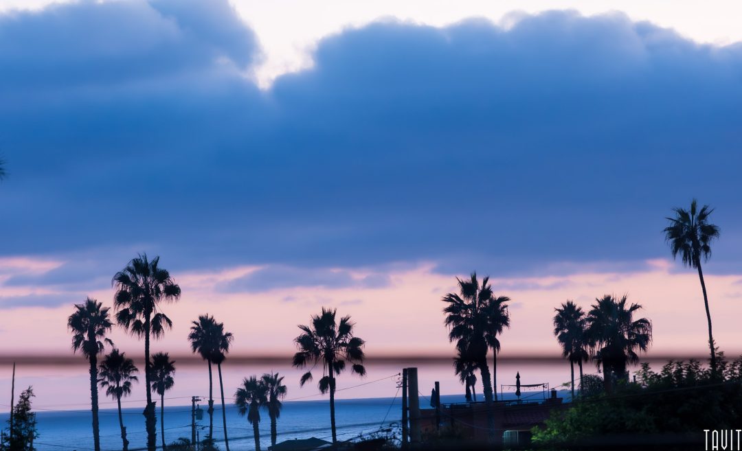 Palm trees in San Diego are silhouetted against a purple and pink sunset sky, with the ocean in the background and rooftops in the foreground. Thick clouds hang above the horizon.